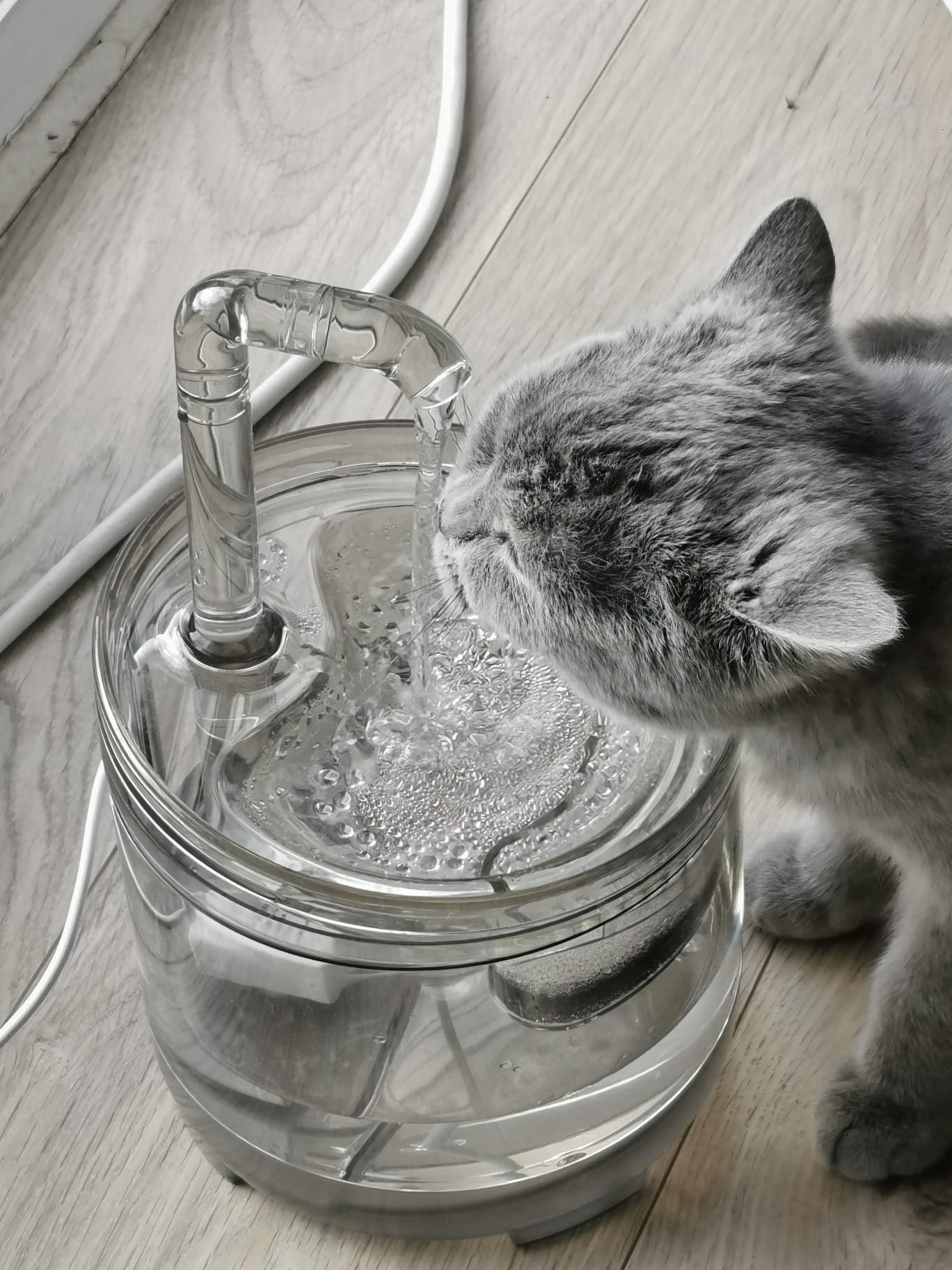 Stijlvolle Drinkfontein voor Katten - inclusief 2x Filters en schoonmaak Kit